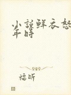 小说鲜衣怒马少年时