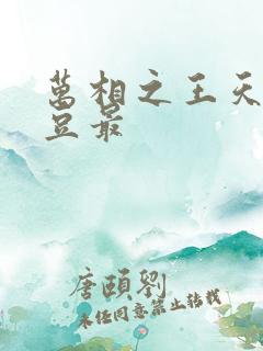 万相之王天蚕土豆最