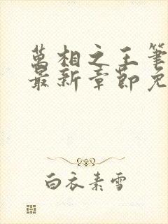 万相之王笔趣阁最新章节免费阅读无弹窗下载