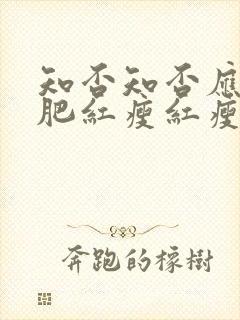 知否知否应是绿肥红瘦红瘦是指花