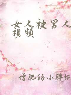 女人被男人插b视频