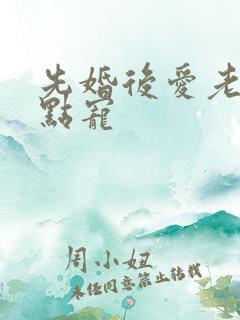先婚后爱老公轻点宠