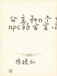 公主和n个皇兄npc的古言小说