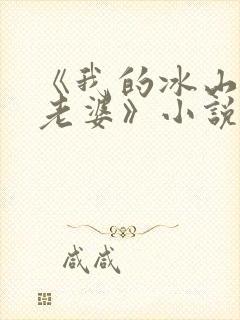 《我的冰山总裁老婆》小说