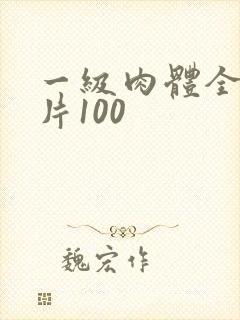一级肉体全黄裸片100
