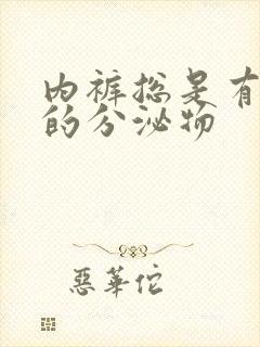 内裤总是有黄色的分泌物