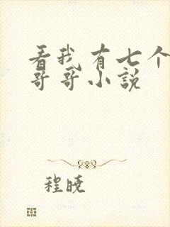 看我有七个大佬哥哥小说