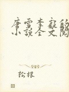 唐雪李毅的重生小说全文阅读