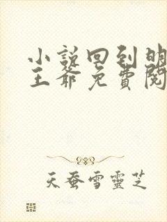 小说回到明朝当王爷免费阅读全文无窗口