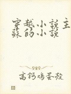 穿越小说主角姓苏的小说