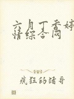六月丁香婷婷激情综合网