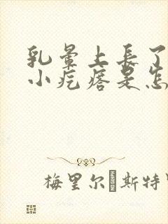 乳晕上长了很多小疙瘩是怎么回事