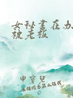 女秘书在办公室被老板