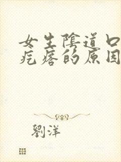 女生阴道口有小疙瘩的原因