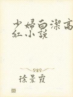 少妇白洁高义美红小说