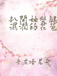 扒开她双腿挺进湿润的花苞h软件