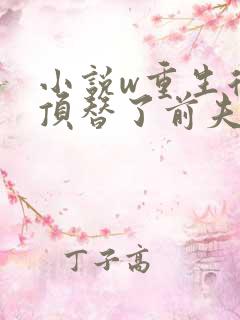 小说w重生后我顶替了前夫白月光,