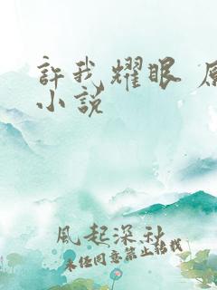 许我耀眼 原著小说