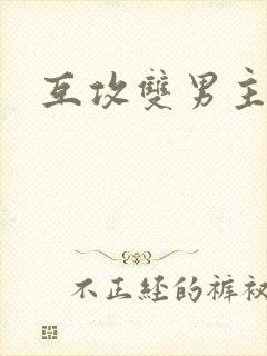 互攻双男主小说