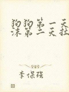 狗狗第一天吐白沫第二天拉血