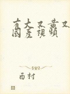 有大又黄又湿的国产视频