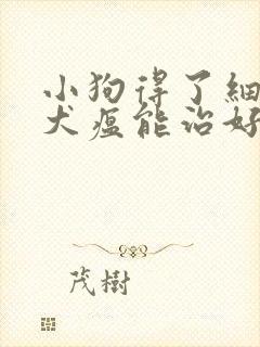 小狗得了细小和犬瘟能治好吗