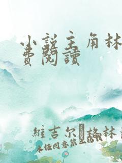 小说主角林浩免费阅读