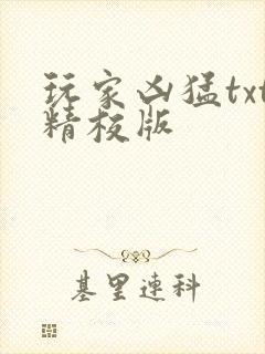 玩家凶猛txt精校版