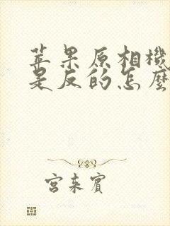 苹果原相机拍照是反的怎么调过来