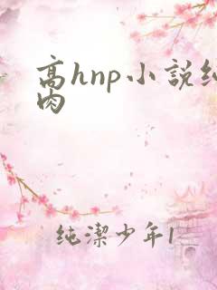 高hnp小说纯肉