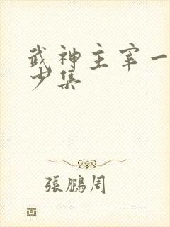 武神主宰一共多少集