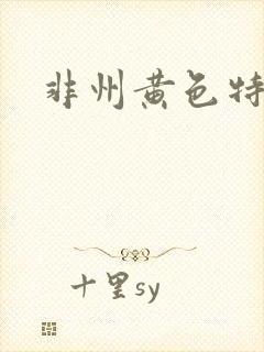 非州黄色特级片