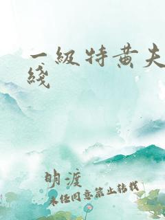一级特黄夫妻在线