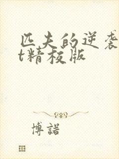 匹夫的逆袭txt精校版