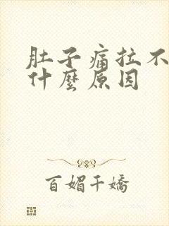 肚子痛拉不出尿什么原因