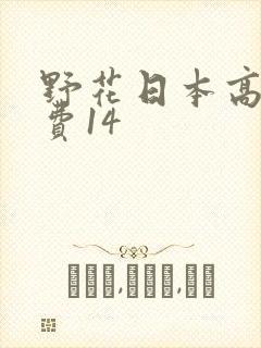 野花日本高清免费14