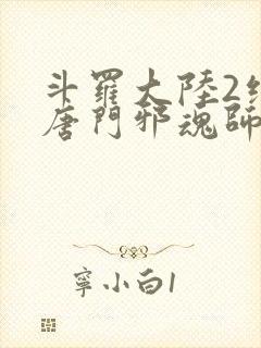 斗罗大陆2绝世唐门邪魂师