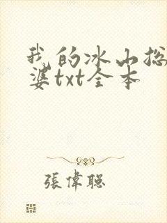 我的冰山总裁老婆txt全本