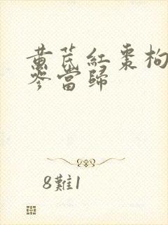 黄芪红枣枸杞党参当归