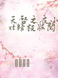 天启之夜小说txt精校版阅读