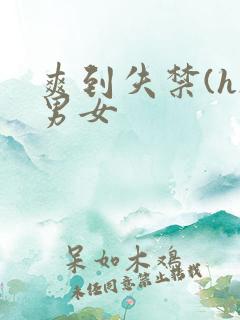 爽到失禁(h)男女