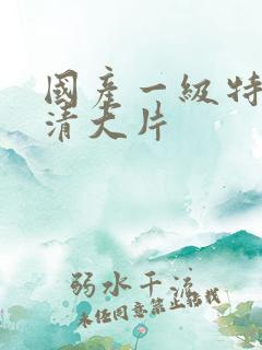 国产一级特黄高清大片