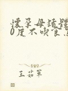 怀孕母猪体温40度不吃食怎么办