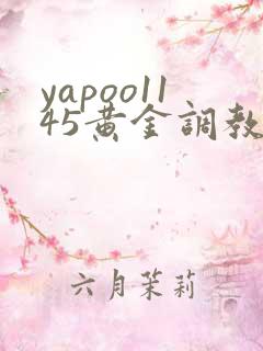 yapoo1145黄金调教vk