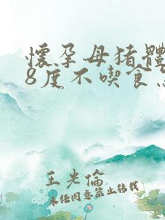 怀孕母猪体温38度不吃食怎么办