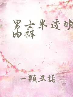 男士半透明三角内裤