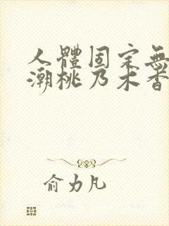 人体固定无限高潮桃乃木香奈