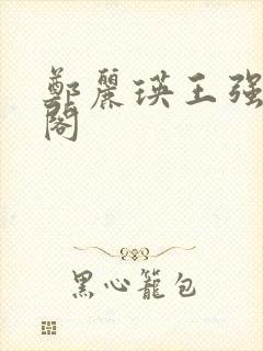 郑丽瑛王强笔趣阁