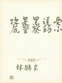 攻是黑道受是卧底警察的小说