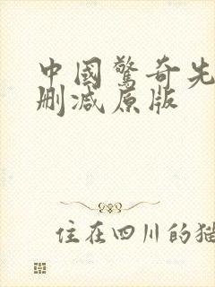 中国惊奇先生无删减原版